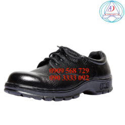 giay-bao=ho-lao-dong-DH-thap-co