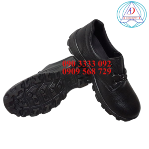 giay-bao-ho-NTT-P04