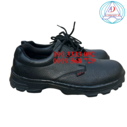 giay-bao-ho-NTT-P04