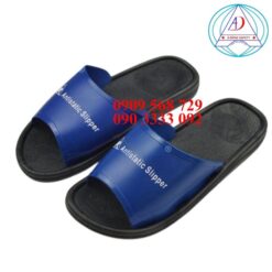 dep-nhua-pvc-chong-tinh-dien